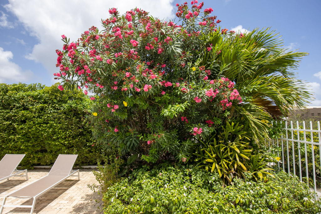Villa Bajano foto 44
